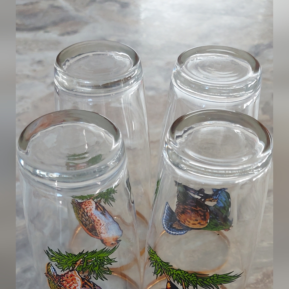 Set of 4 Gold Rimmed Bird Glasses - Picture 9 of 9